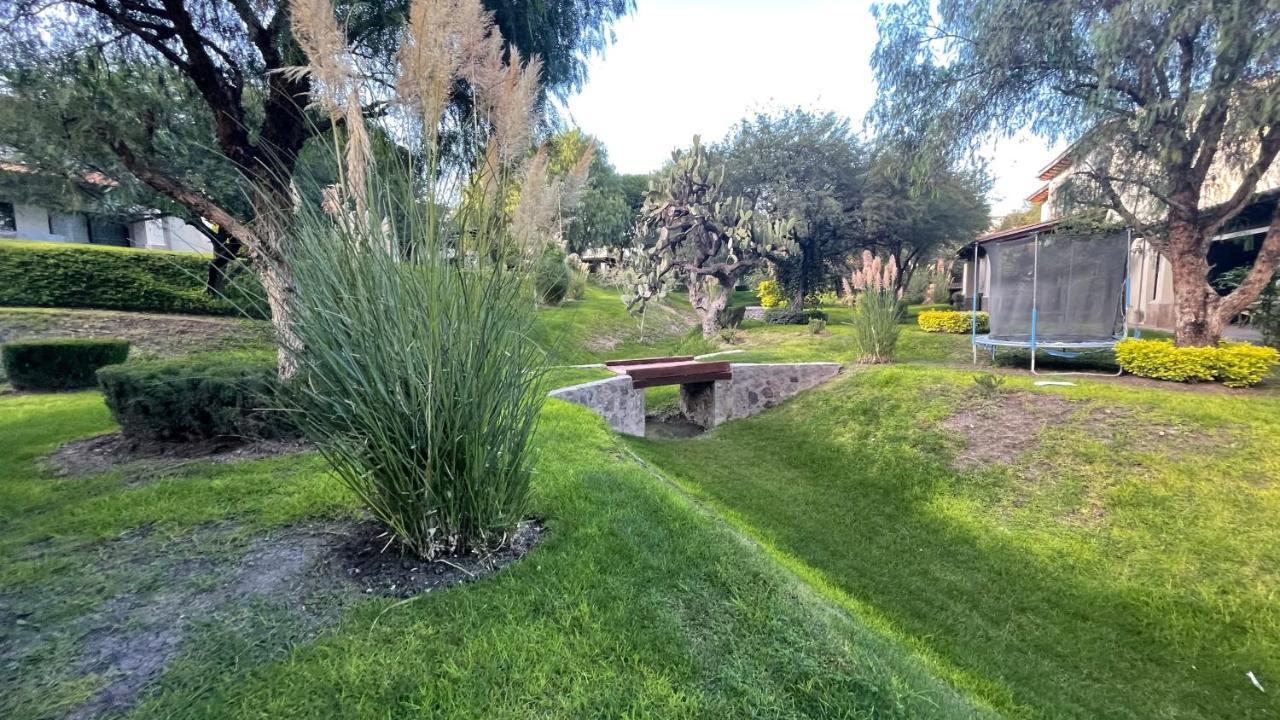 Apartamento Hermoso Depa Con Terraza Y Alberca En San Miguel Con Shuttle Gratis Al Centro!